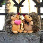 Knuffel Egel Duo Liefdes Koppel 17 Cm Zacht De Knuffel