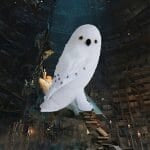 Knuffel Hedwig Harry Potter 18 cm Pluche Uil De Knuffel