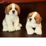Knuffel Hond Saint-Richard Zachte Realistische Metgezel Langdurig De Knuffel
