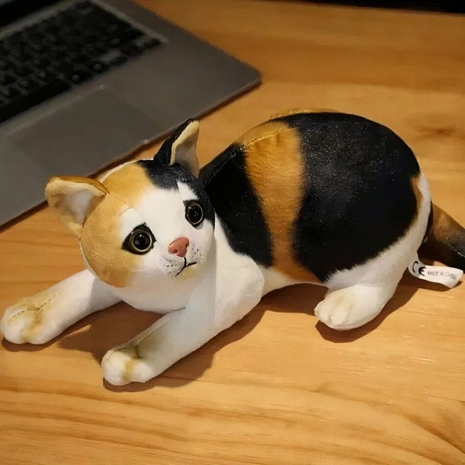Knuffel Kat Rayé Zachte Pluche 30 cm Knuffelvriendelijk De Knuffel