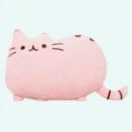 Knuffel Kat Roze Superschattig Met Zijdezachte Vacht De Knuffel
