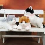 Knuffel Katon Bruin Zachte Knuffelkat Compact Formaat De Knuffel