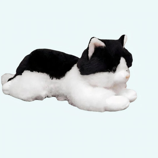 Knuffel Katon Zwart Zachte Knuffelkat Voor Uren Knuffelen De Knuffel