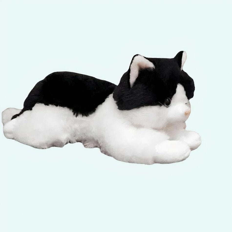 Knuffel Katon Zwart Zachte Knuffelkat Voor Uren Knuffelen De Knuffel