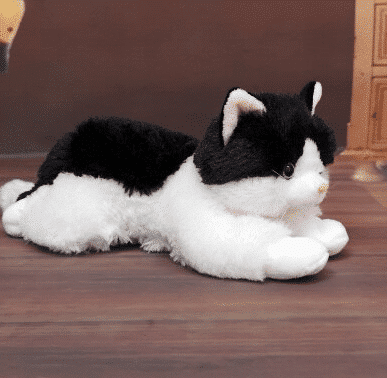 Knuffel Katon Zwart Zachte Knuffelkat Voor Uren Knuffelen De Knuffel
