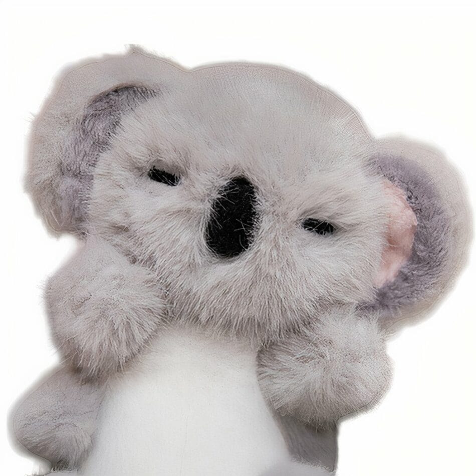 Knuffel Koala Câlins Infinis Met Ultra-Zacht Velours Troost De Knuffel