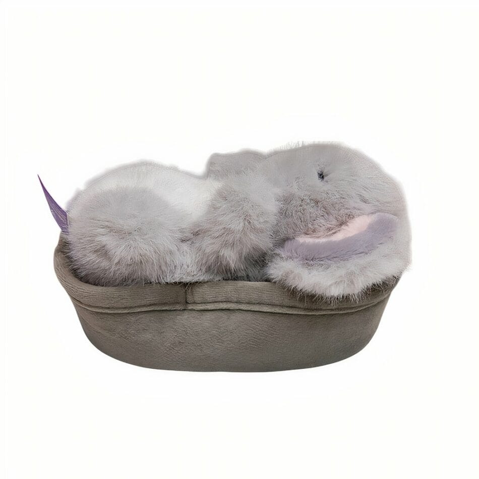 Knuffel Koala Câlins Infinis Met Ultra-Zacht Velours Troost De Knuffel