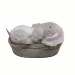 Knuffel Koala Câlins Infinis Met Ultra-Zacht Velours Troost De Knuffel