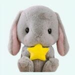 Knuffel Konijn Ster Pluche Reisgenoot Voor Kinderen De Knuffel
