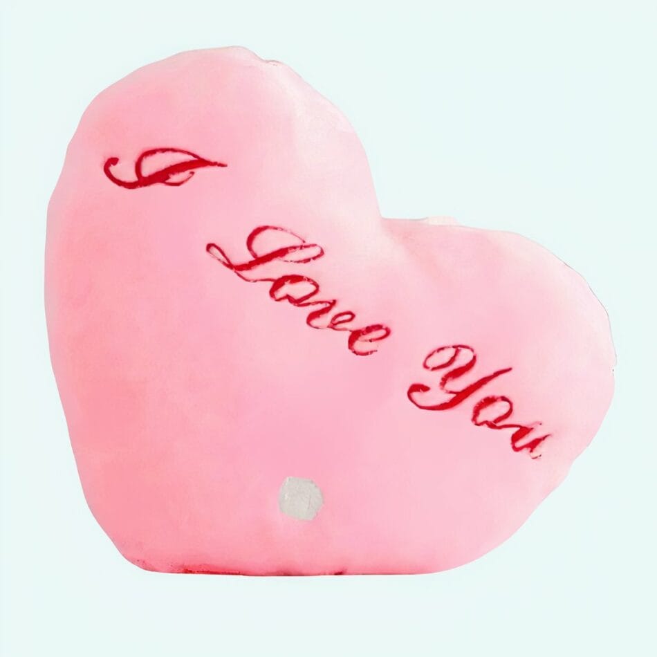Knuffel Kussen Roze Hartvormig I Love You De Knuffel