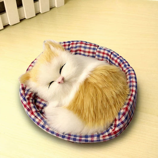 Knuffel Mini Kat Slapend Zachte Realistische Slaapende Kitten De Knuffel Model 1