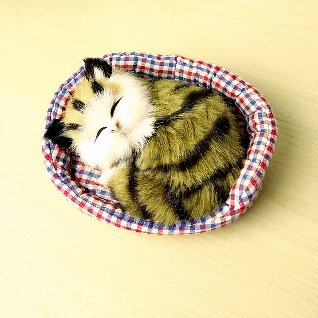 Knuffel Mini Kat Slapend Zachte Realistische Slaapende Kitten De Knuffel Model 3