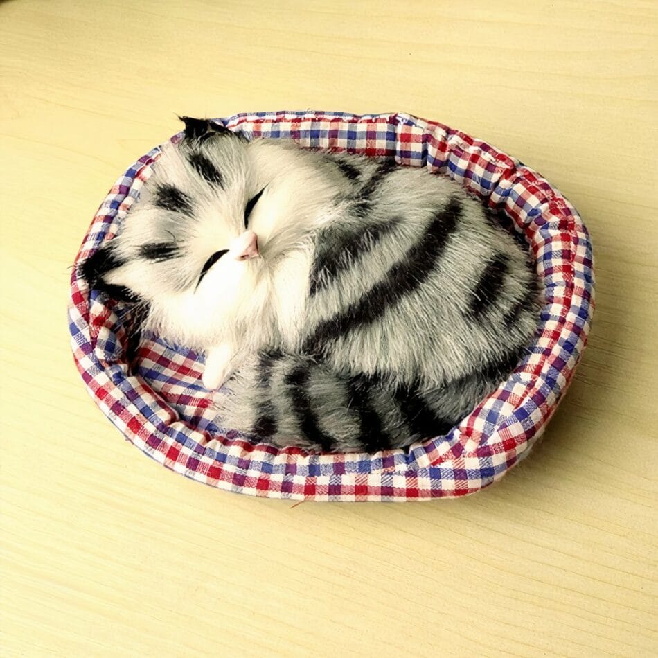 Knuffel Mini Kat Slapend Zachte Realistische Slaapende Kitten De Knuffel