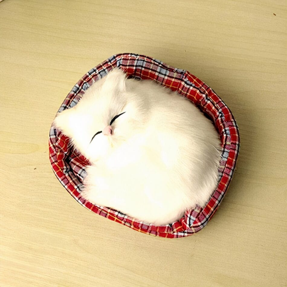 Knuffel Mini Kat Slapend Zachte Realistische Slaapende Kitten De Knuffel