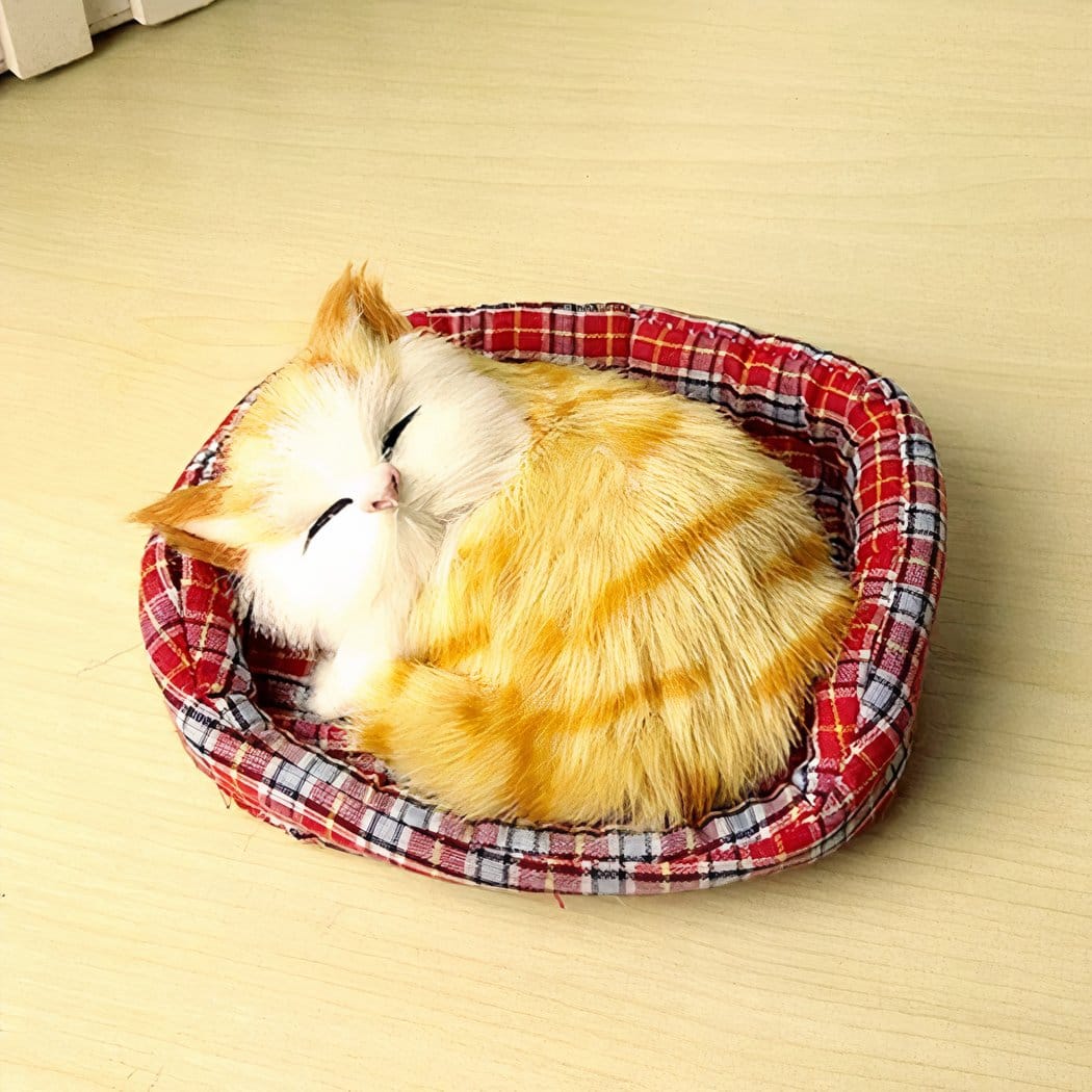 Knuffel Mini Kat Slapend Zachte Realistische Slaapende Kitten De Knuffel Model 2