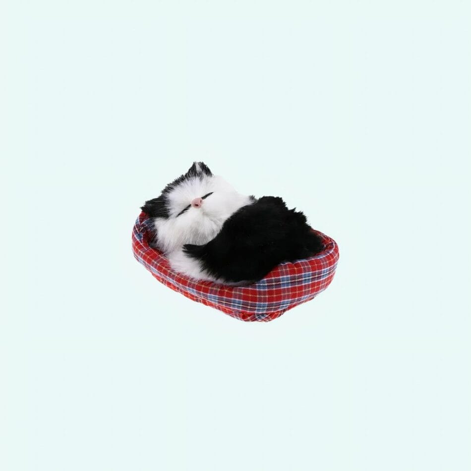 Knuffel Mini Kat Slapend Zachte Realistische Slaapende Kitten De Knuffel