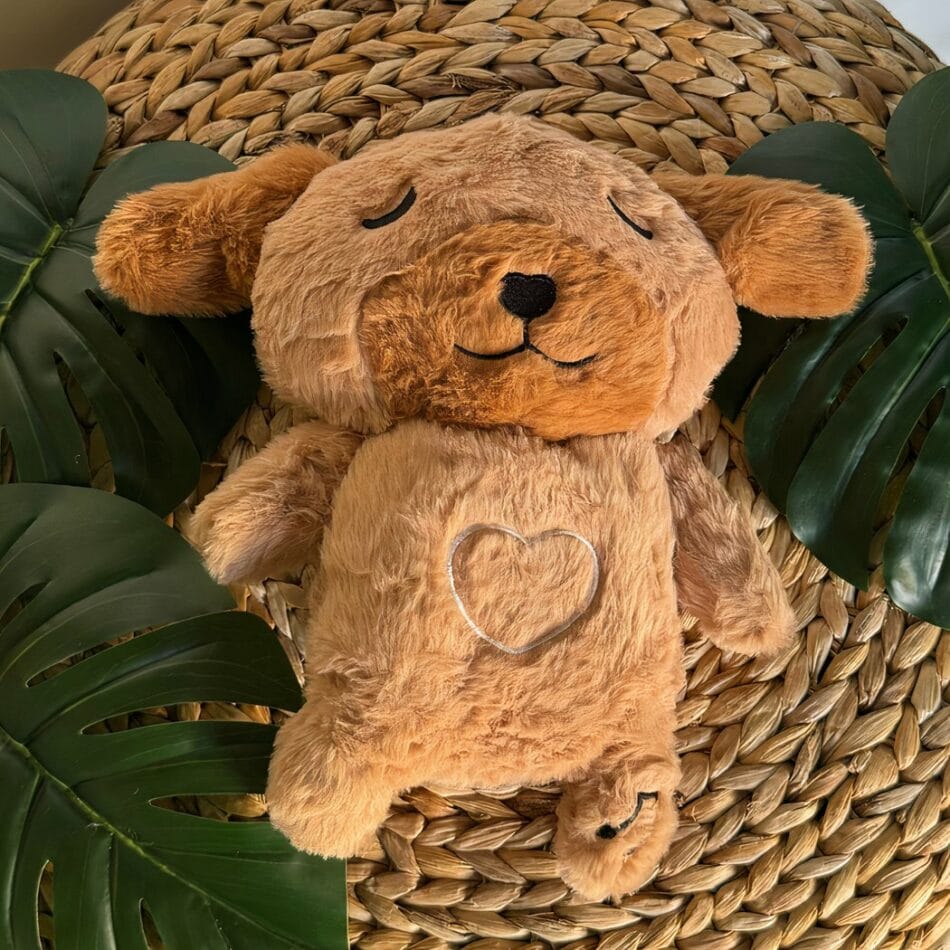 Knuffel Nachtlampje Hond Schattig Ademend Voor Slapen De Knuffel