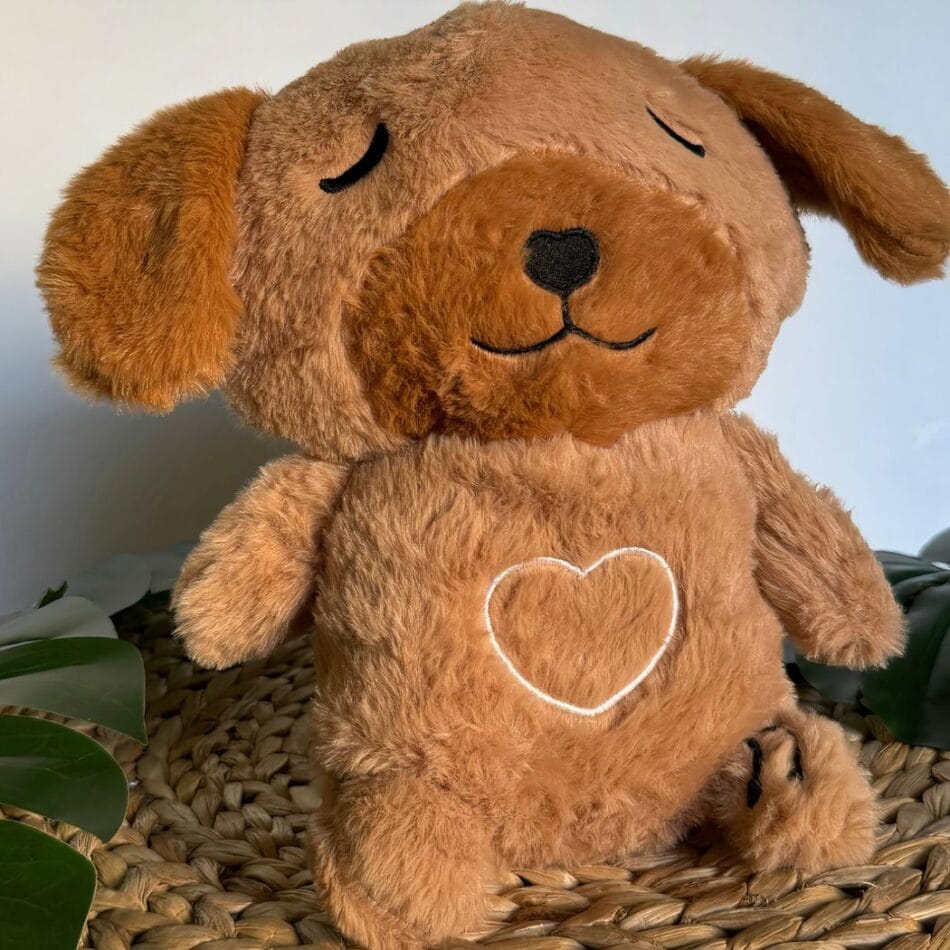Knuffel Nachtlampje Hond Schattig Ademend Voor Slapen De Knuffel