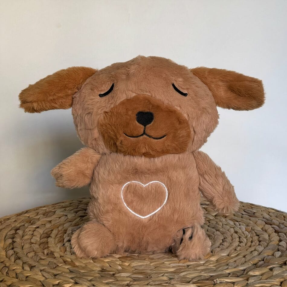 Knuffel Nachtlampje Hond Schattig Ademend Voor Slapen De Knuffel