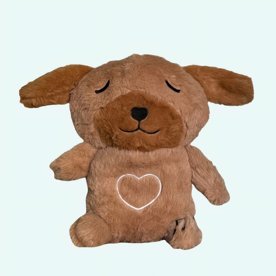 Knuffel Nachtlampje Hond Schattig Ademend Voor Slapen De Knuffel