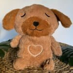 Knuffel Nachtlampje Hond Schattig Ademend Voor Slapen De Knuffel