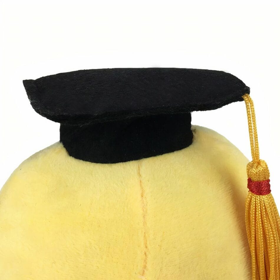 Knuffel Octopus Met Diploma Zachte Speelse Knuffelvriend De Knuffel