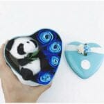 Knuffel Panda Lichtblauw Saint Valentin Geschenkset De Knuffel