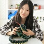 Knuffel Python Groen Zachte Dierenvriend Met Mythische Inspiratie De Knuffel