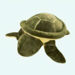 Knuffel Reuzen Groene Schildpad 150 Centimeter Ronde Kussen De Knuffel