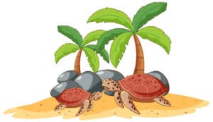 Knuffel Schildpad Fruit Troostknuffel Voor Kinderen De Knuffel