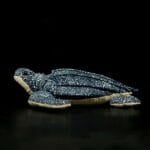 Knuffel Schildpad Van Mer 30 Cm Zacht Realistisch De Knuffel