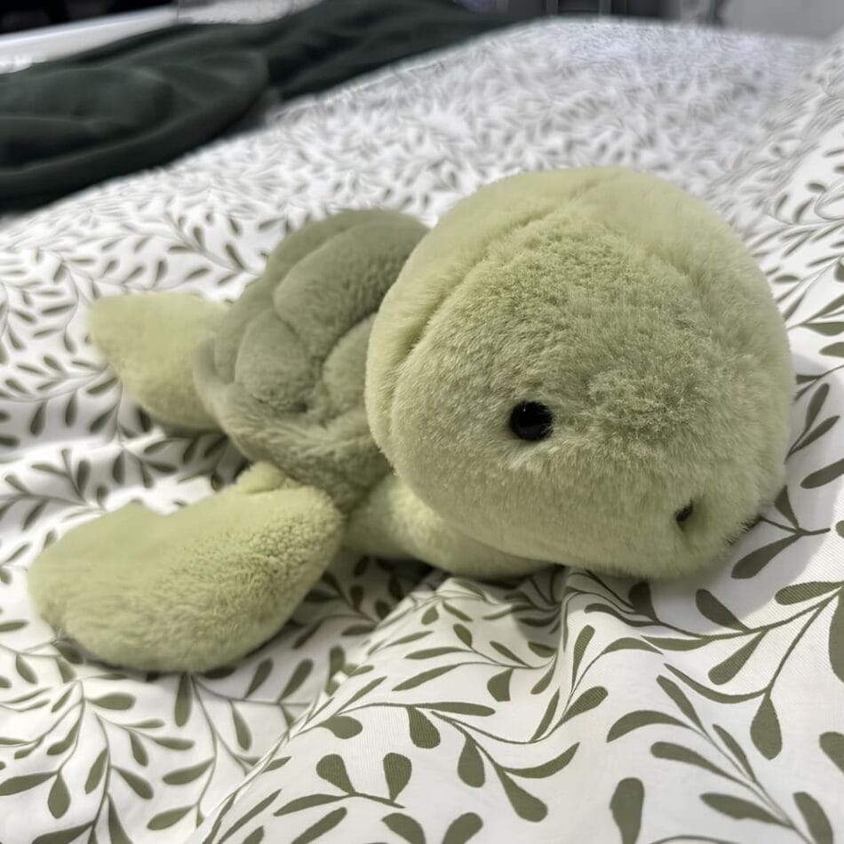 Knuffel Schildpad Zacht Rustige Metgezel Vrede Bescherming De Knuffel