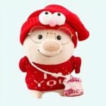 Knuffel Varken Met I Love You Trui Zachte Pluche De Knuffel