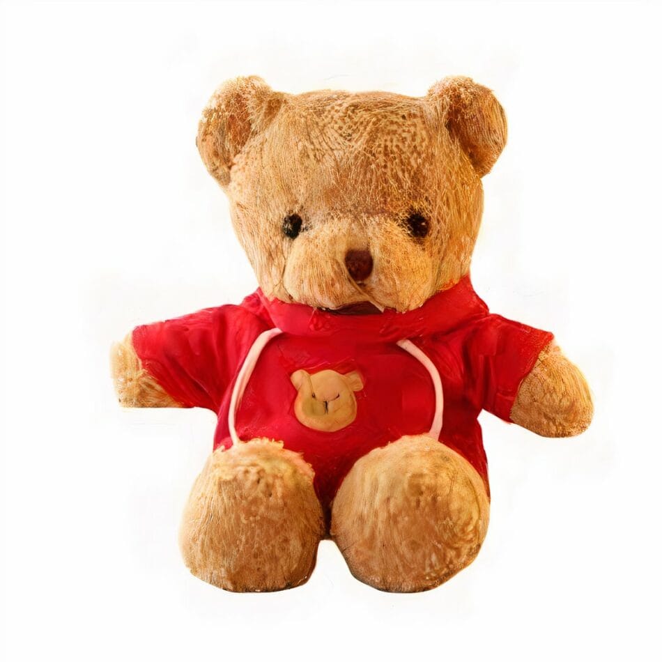 Knuffelbeer Rode Trui Zachte Knuffelvriend Voor Kinderen De Knuffel