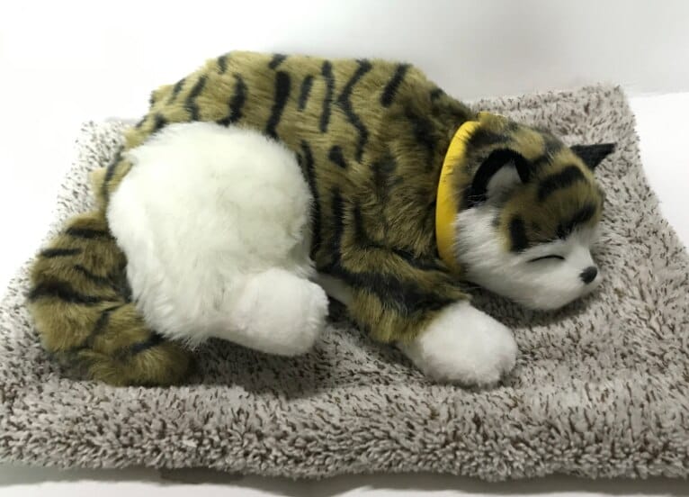 Knuffelkat Tigré Groen Endormi 30 cm Zachte Metgezel De Knuffel