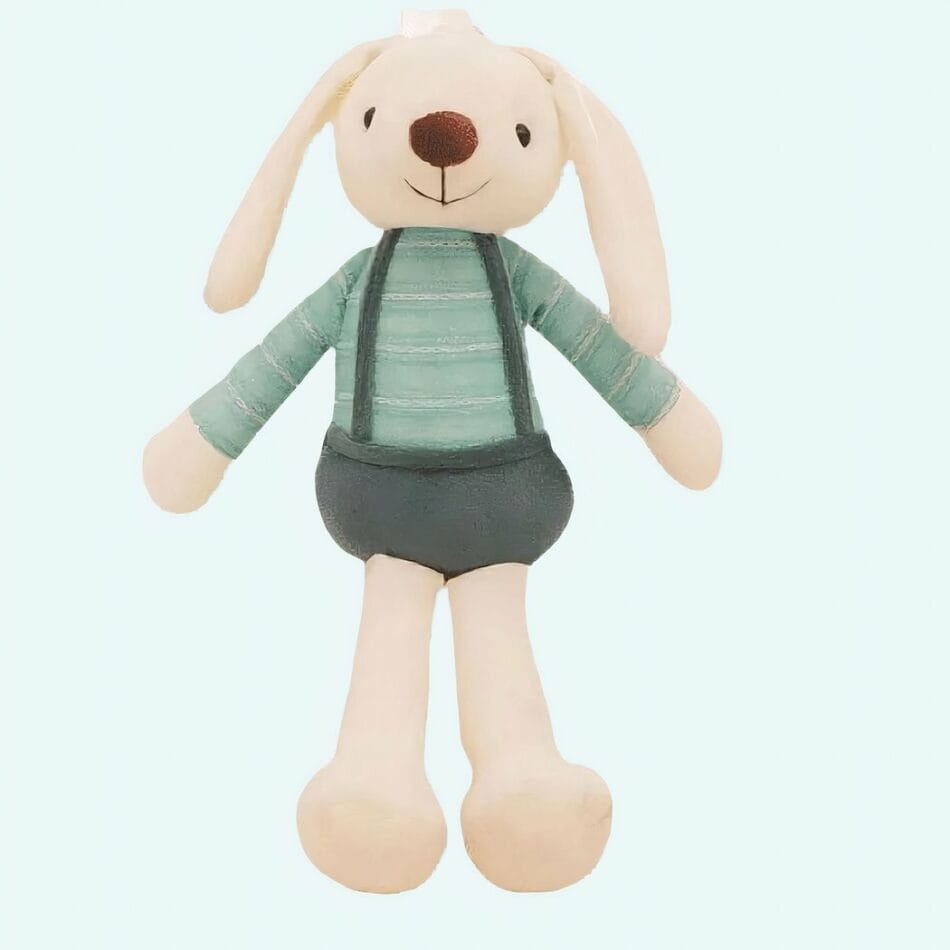 Knuffelkonijn Met Groene Outfit Zachte Vacht En Speelkameraad De Knuffel