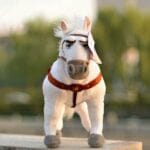 Knuffelpaard Maximus Uit Rapunzel Met Prinses Speelthema De Knuffel