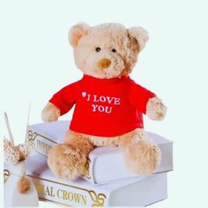 Lichtblauw Knuffel Slaapkussen I Love You De Knuffel