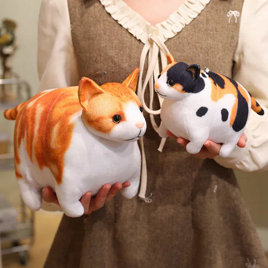 Mollige Kat Knuffel 35 of 50 cm | Realistische Poes in 6 Kleuren De Knuffel