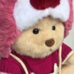 Nino Pluchen Beer Met Beweegbare Gewrichten In Lotso Kostuum De Knuffel