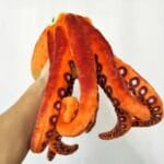 Oranje Realistische Octopus Knuffel van Zacht Pluche De Knuffel