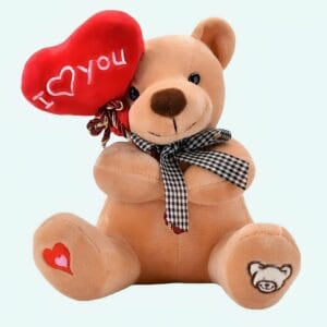 Pluchen Knuffelbeer Ted Love Liefdevolle Knuffel Partner De Knuffel