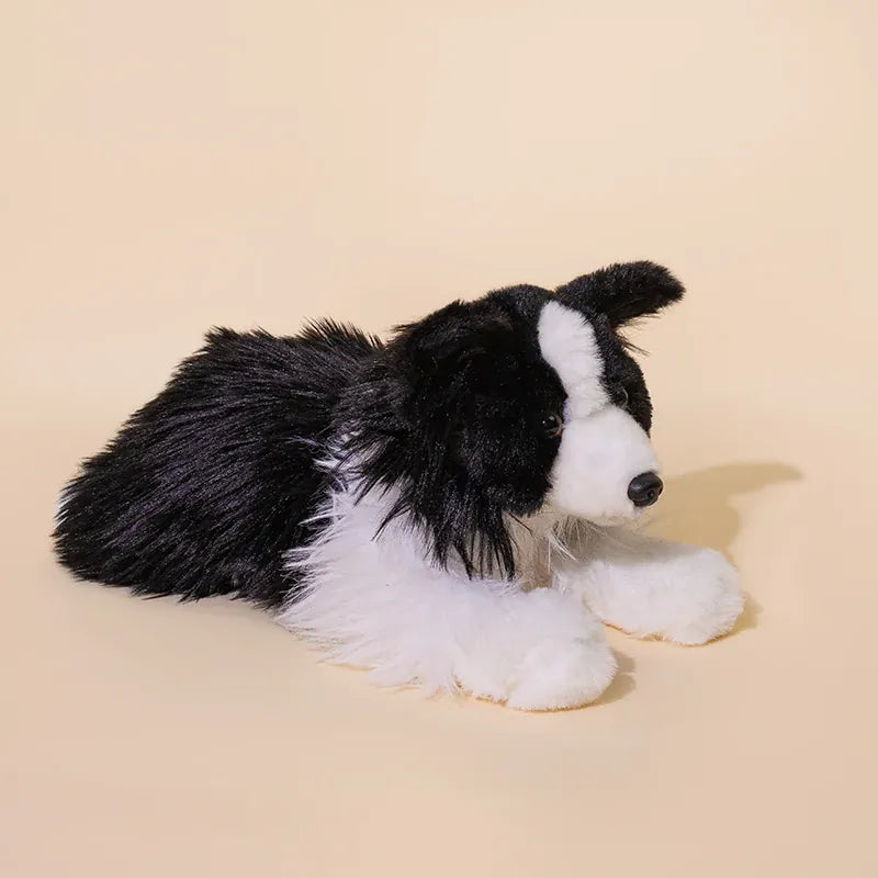 Puppy Knuffel 22 cm | Border Collie, Franse Bulldog of Chihuahua De Knuffel Border collie 3