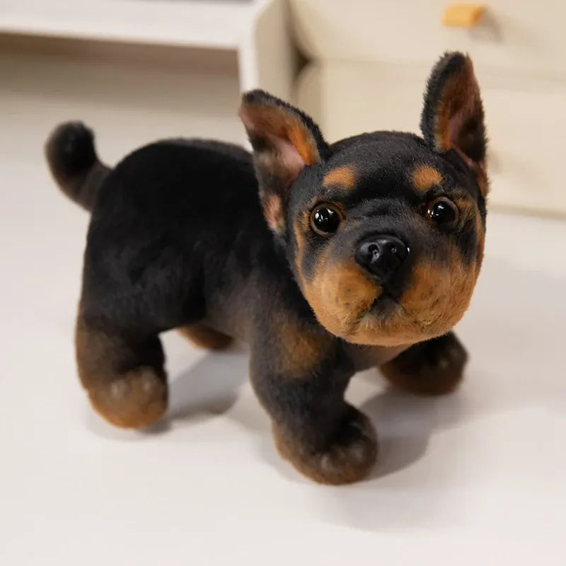 Realistische Mopshond of Bulldog Knuffel 22 cm | 7 Kleuren De Knuffel Zwarte bulldog