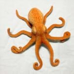 Realistische Octopus Knuffel met Zachte Textuur, Compacte Maat De Knuffel
