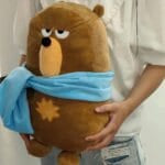 Roze Duolingo Falstaff Knuffel Pluche Speelknuffel De Knuffel