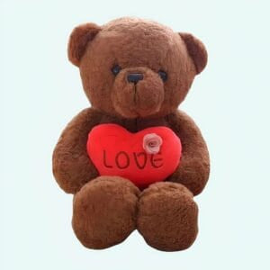 Roze en Witte Knuffelbeer Love Valentijnscadeau De Knuffel