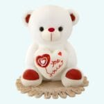 Roze en Witte Knuffelbeer Love Valentijnscadeau De Knuffel
