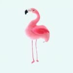 Roze Flamingo Knuffel Superzacht Veilig Voor Kinderen De Knuffel