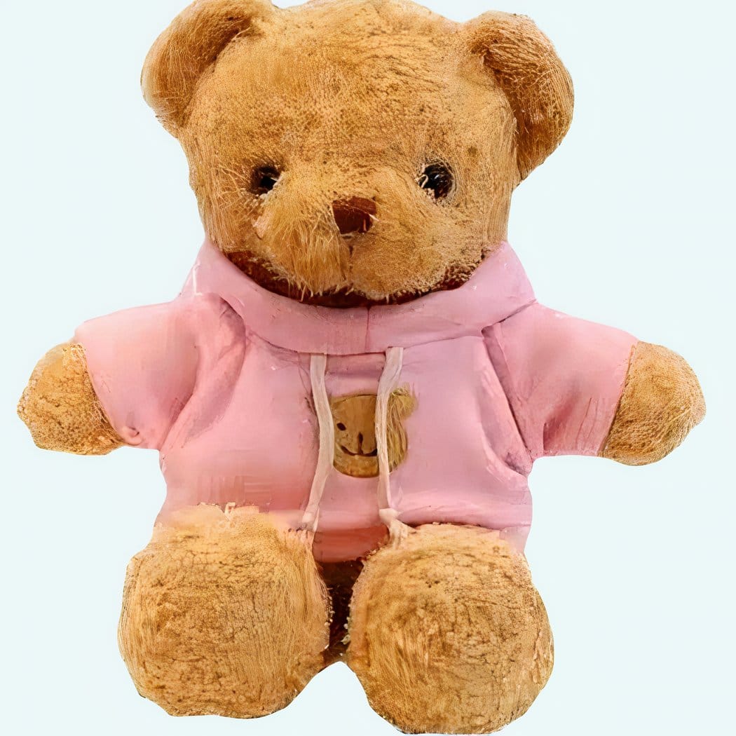 Roze Knuffelbeer Met Zachte Trui Voor Kinderen En Avonturen De Knuffel
